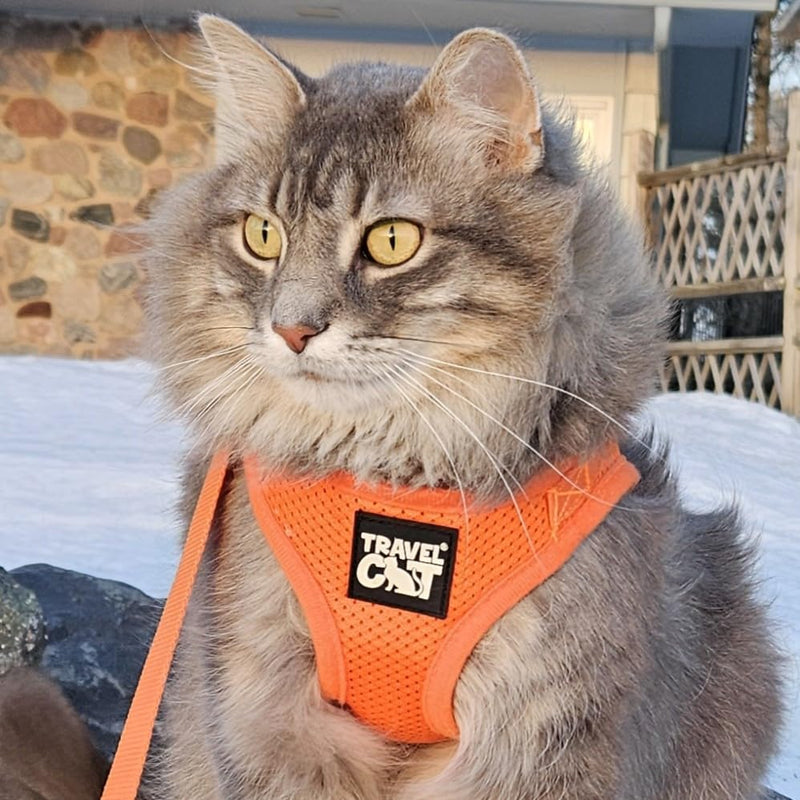Travel Cat Harness and Leash Set - Adjustable Fit Mesh Cat Harness and Reflective Strap - Comfort Escape Proof Harness for Cats, Kitten for Outdoor Walking, Hiking (Medium, Orange) Medium - BeesActive Australia