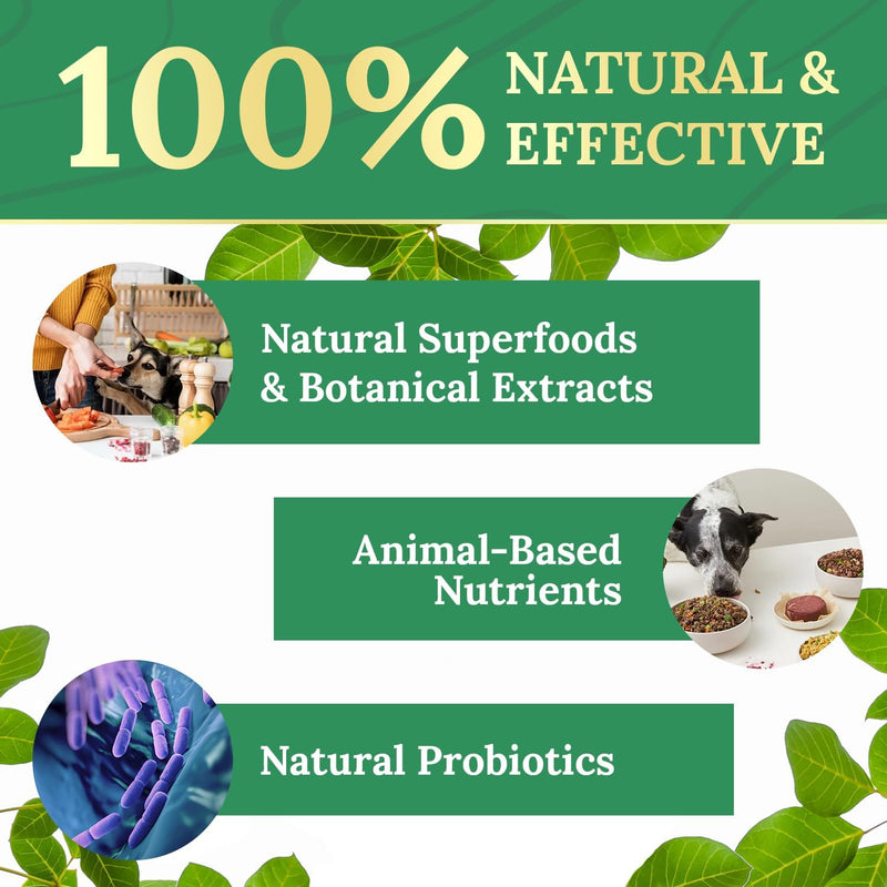 Pawbiotix Liquid probiotics for Dogs - Dog probiotics for Digestive Health | 100% Natural Dog Gut Health probiotics | probiotics for Dogs | Original Formula, Beacon Flavor, 1oz, 1 Month Supply 1 Fl Oz (Pack of 1)