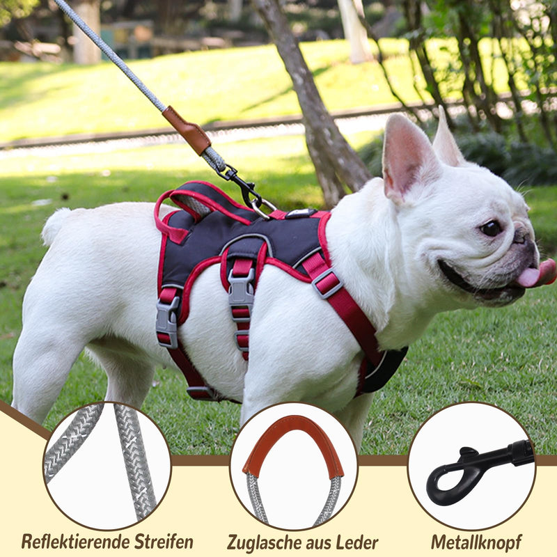 Multi-purpose dog harness with leash set, escape-proof anti-pull dog harness, anti-pull harness dog safety harness, dog harness small dogs for small medium dogs (beige, S) beige - BeesActive Australia