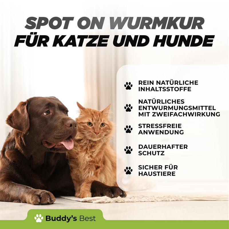 BUDDY'S BEST 50ml Spot On Worm Treatment Cat and Dog - Worm Treatment Dog and Cat - Dewormer Cats and Dogs - Worm Treatment Cats All Worms - Deworming Dog - BeesActive Australia