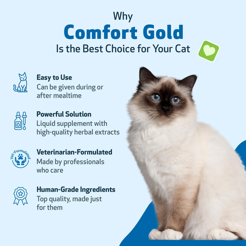 Pet Wellbeing Comfort Gold for Cats - Supports Feline Physical Comfort, Healthy Circulation, Corydalis, Turmeric - Veterinarian-Formulated Herbal Supplement 2 oz (59 ml) 2 fl oz (59 ml) - BeesActive Australia