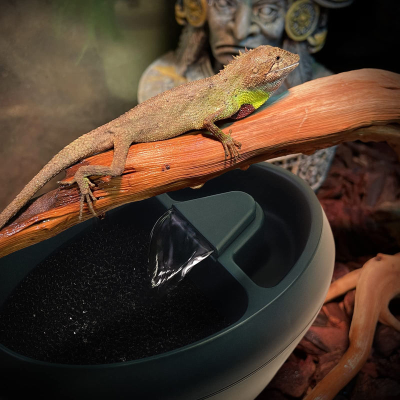 Reptile Drinking Water Fountain Chameleon Accessories Automatic Circulation System with Trough, Bearded Dragon Cage Accessories Reptiles Habitat Waterfall for Snake/Lizard/Chameleon/Turtle - BeesActive Australia