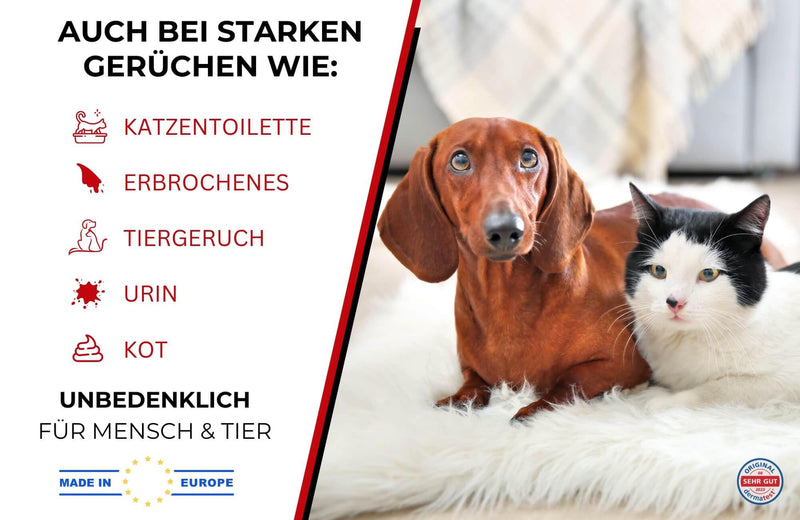 DeoDog odor neutralizer - eliminates stubborn animal odors directly on the animal - ideal for long & thick fur - for dog beds, cars, household, cat urine, dog urine, feces & vomit - 500ml - BeesActive Australia