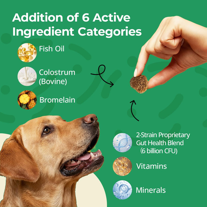 Dog Allergy Chews - Immune & Itch Relief Support with Probiotics, Fish Oil, Colostrum & Bromelain - Seasonal Allergy Relief & Skin & Coat Health - Soft Chews, Chicken Flavor, 60 Count
