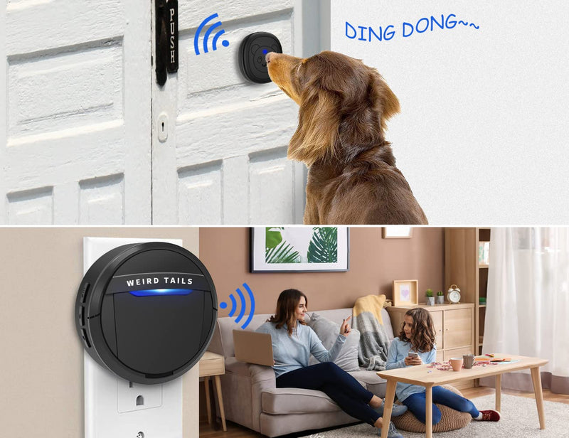 Wireless Doorbell, Dog Bells for Potty Training IP55 Waterproof Doorbell Chime Operating at 950 Feet with 55 Melodies 5 Volume Levels LED Flash (1 Receiver 2 Transmitters) 1 Receiver 2 Transmitters - BeesActive Australia