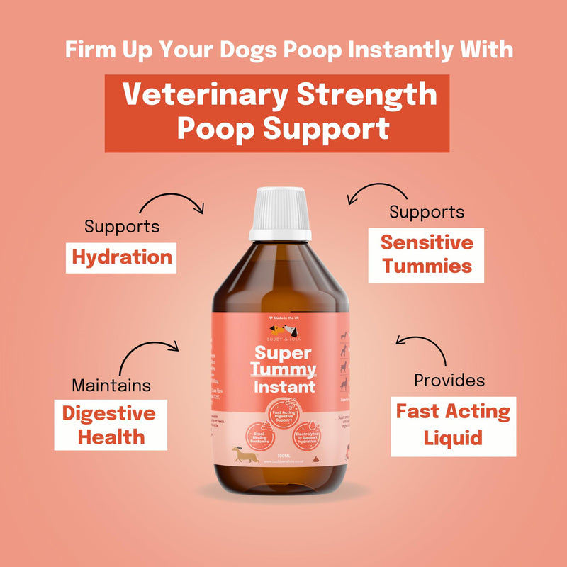 Buddy & Lola Fast-Acting Dog Diarrhea Treatment with Electrolytes - 20 Servings/100ml - Tummy Settler For Dogs All Breeds, Sizes and Ages - Syringe Included 100 ml (Pack of 1)