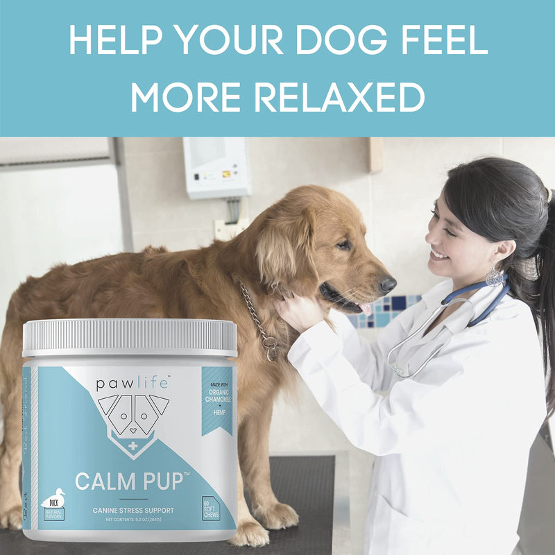 Hemp Dog Calming Chews - Anxiety Relief Treats, 120 Calming Treats for Dogs, Calm Pup Dog Anxiety Relief & Joint Support, Oil Infused Calming Chews for Dogs Anxiety (Bacon Flavor) Bacon 120 Count (Pack of 1) - PawsPlanet Australia
