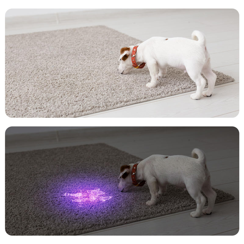 COSOOS Black Light UV Flashlight, 21 LED Handheld UV Light, 395nm Mini Blacklight Flashlight, Portable Pet Urine Detector for Dog Cat Urine Stains, Bed Bugs, Scorpion, Resin Curing, Nails. - BeesActive Australia