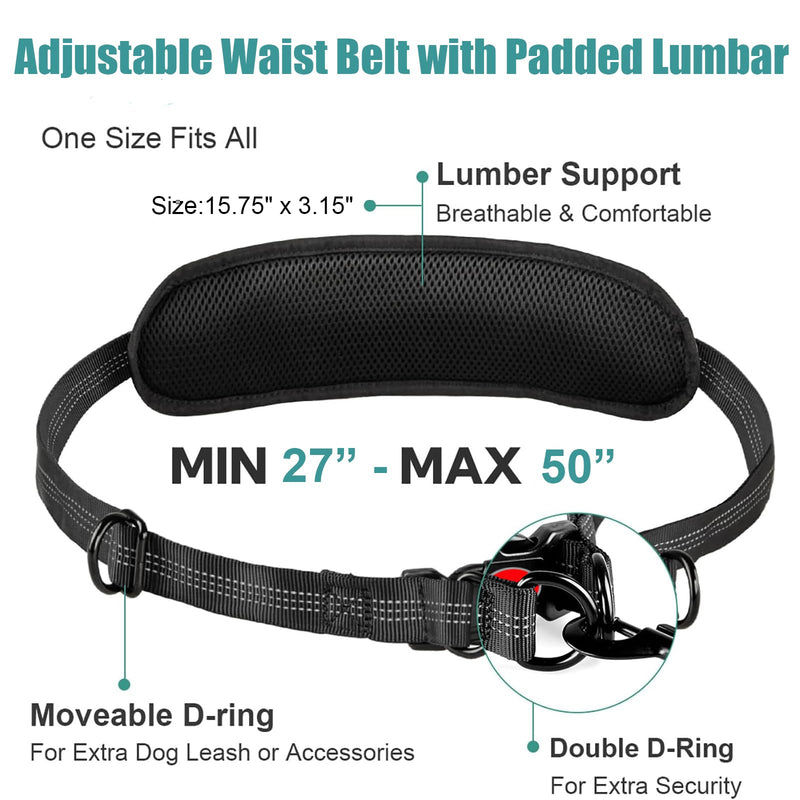 Hands Free Dog Leash Waist & Crossbody for Walking, No Pull Heavy Duty Bungee Double Dog Leash for Two Dogs with Pouch, Padded Handles & Reflective for Large Medium Dogs, Black 2 Leashes Black/Blue
