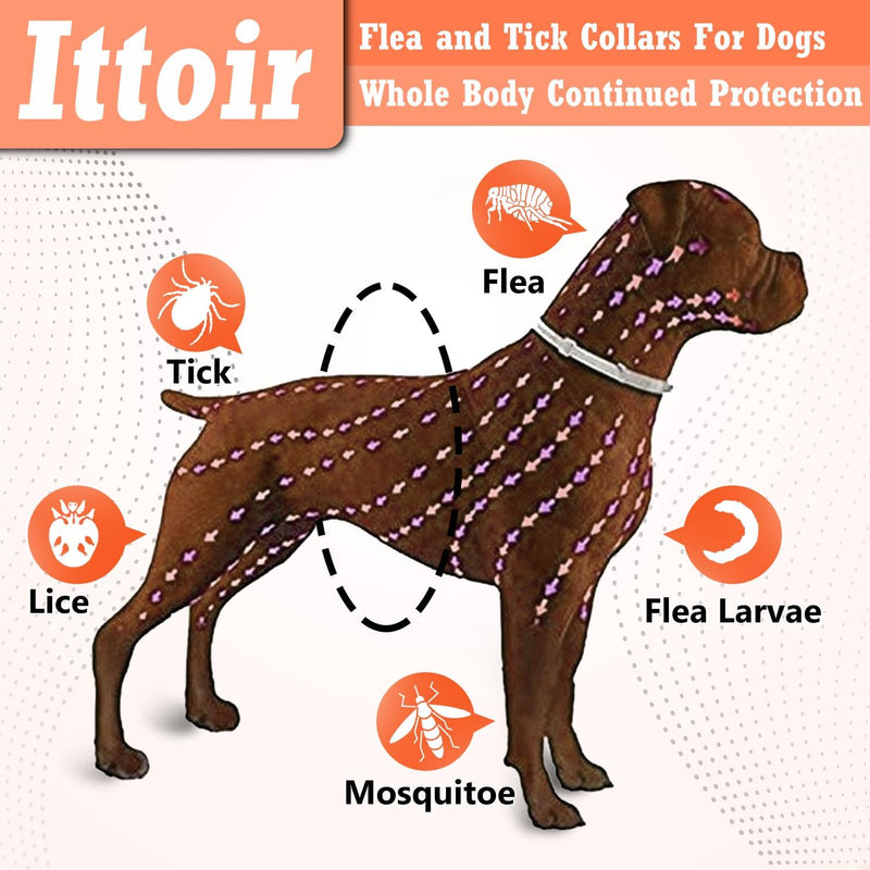 Flea and Tick Collar for Dogs, Flea Collar for Dogs, Dog Flea Collar Long Flea and Tick Prevention, Dog Flea and Tick Collar, Adjustable, Flea Collar One Size Fits All Dogs 2 Pack - BeesActive Australia