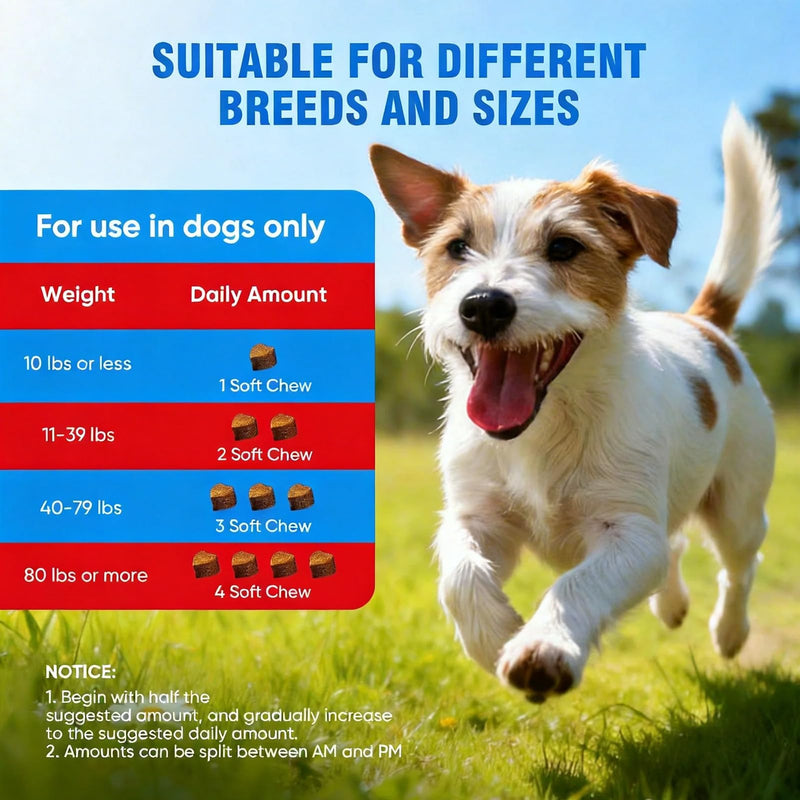 Dog Allergy Chews with Probiotics & Vitamins – Supports Skin Comfort & Coat Health