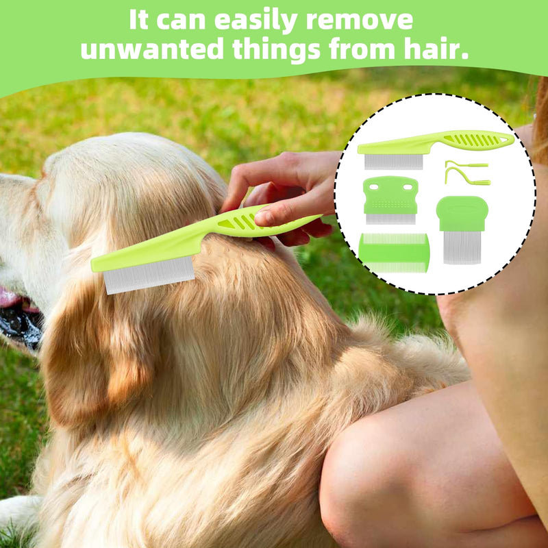 Pack of 6 lice combs and tick hooks, metal teeth, lice comb, tick comb, nit comb for removing fleas, flea tear stain remover comb, lice comb for caring for and removing dandruff or lice - BeesActive Australia