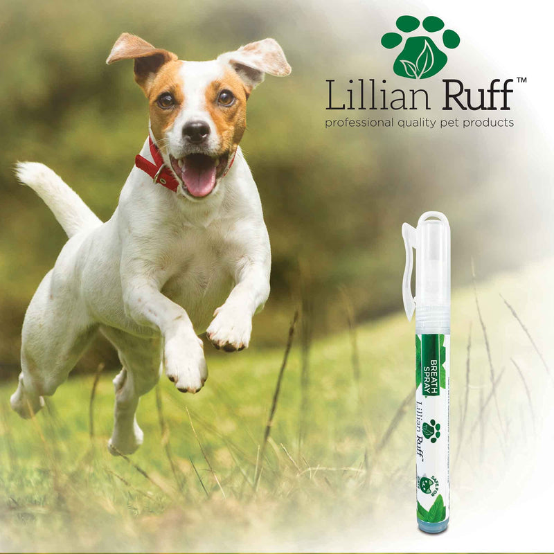 Lillian Ruff Travel Kit for Dogs | Dog Grooming Spray for Airline Travel, Dog Camping, Dog Beach | Deodorizing Waterless Dog Shampoo x4, Dog Breath Freshener, Dog Detangler Spray, Dog Ear Cleaner - PawsPlanet Australia