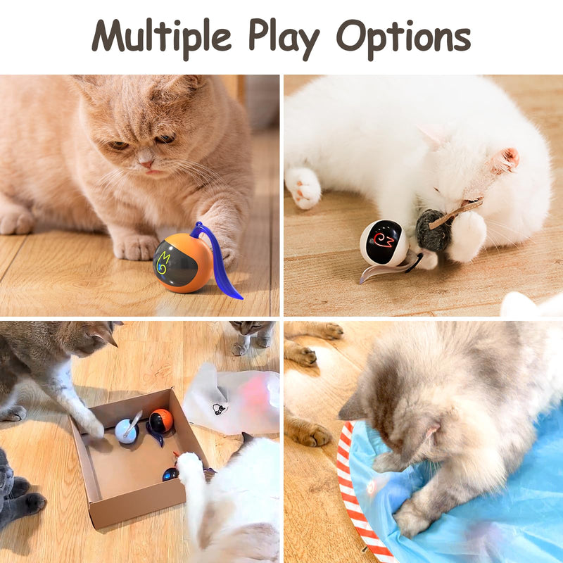 Migipaws Interactive Cat Ball Toy Set, Fun Tracker, Glowing Chase Ball with MystiChaser Pouch, Fluffy Tail, A Small Mice (Orange) orange - BeesActive Australia