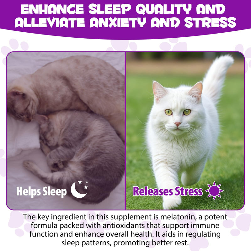 asusxcli Melatonin for Cats - Cat Calming Treats- Cat Sedative for Grooming - Helps to Support Restful Sleep for Your Cat - Cat Sleep Aid - Anxiety Relief for Cats