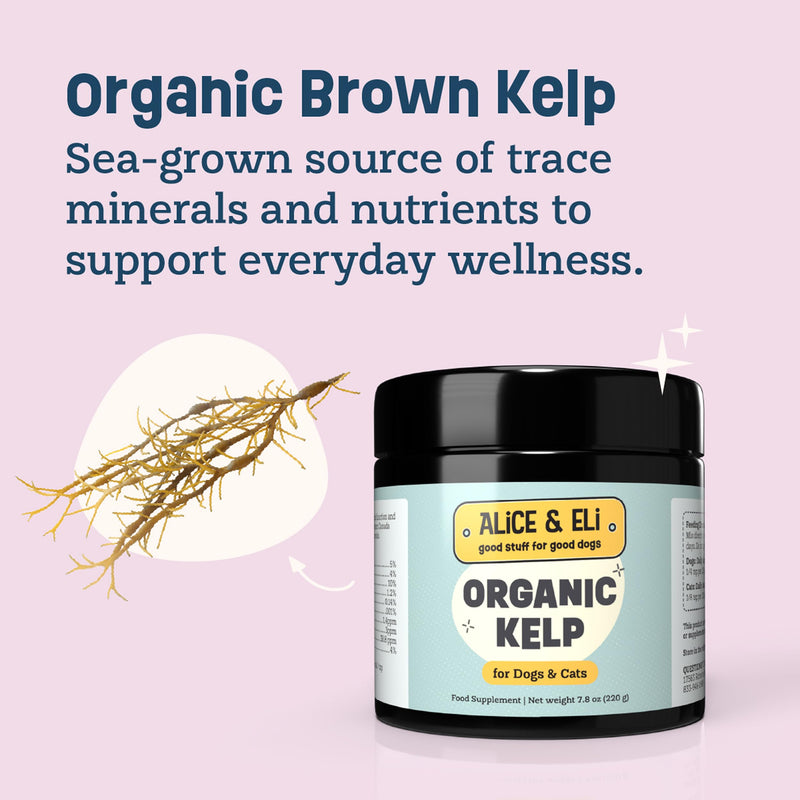 Alice & Eli Organic Kelp Powder for Dogs – Supports Healthy Coat, Thyroid & Immune System - Multivitamin Seaweed Powder from Canada