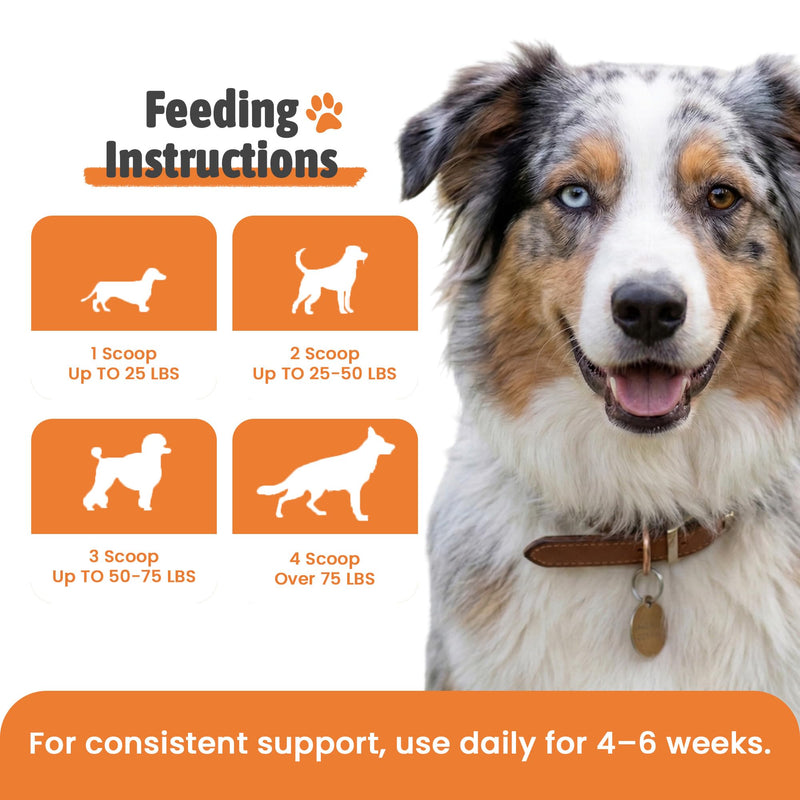 Dental Powder for Dogs & Cats – Freshens Breath, Reduces Plaque, Prevents Tartar – with Natural Herbal Ingredients & Prebiotics – Boosts Oral Health for Pets – 150g (5.29oz)
