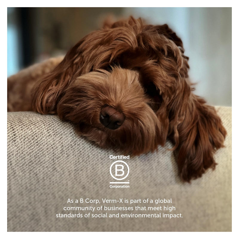 Verm-X Organic Food Supplement for Anxious Dogs. With Passion Flower, Chamomile and Valerian to help Soothe and Calm Sensitive Dogs or Dogs with Situational Anxiety.