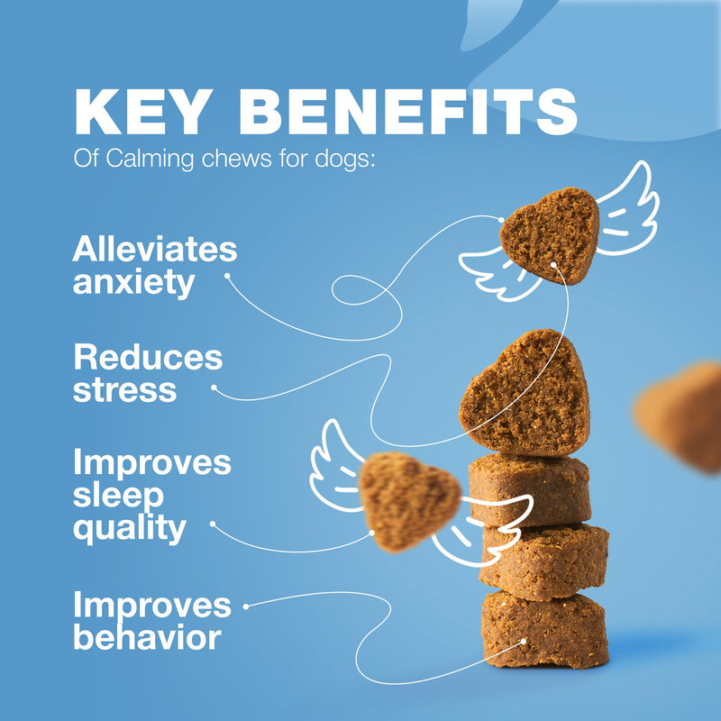 Hemp Calming Chews for Dogs - Dog Calming Treats - Anxiety Relief for Dogs with L-Theanine, Chamomile Extract, Valerian Root - Dog Anxiety Relief for Travel, Vet Visits, Thunderstorms, Nail Trimming - PawsPlanet Australia