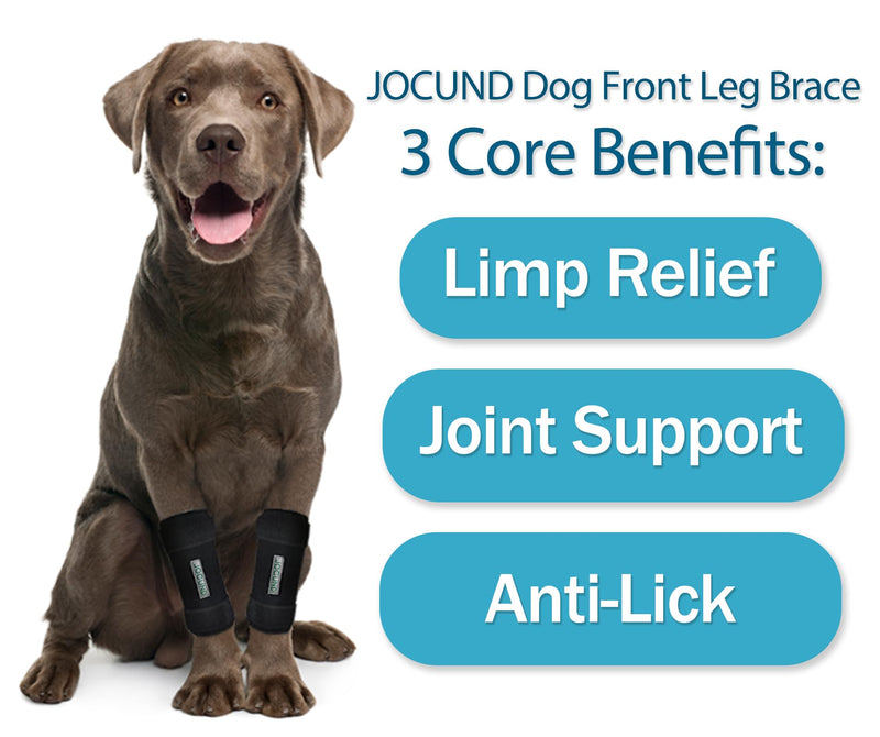 Dog Front Leg Brace, Pair of Dog Leg Brace with Metal Strips, Canine Front Leg Hock Wrap Sleeve for Carpal Support, Protects Wounds Brace Heals and Prevents Injuries and Sprains (L/XL) L/XL (1 Pair)