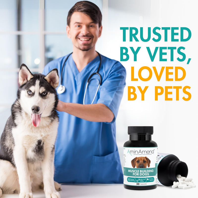 Muscle Support Dog Supplements for Large Breed (21lbs+) with CaHMB & Vitamin D3 – Supports Strength, Mobility & Daily Activity for All Ages & Senior Dog – (30 Capsules) 430 mg