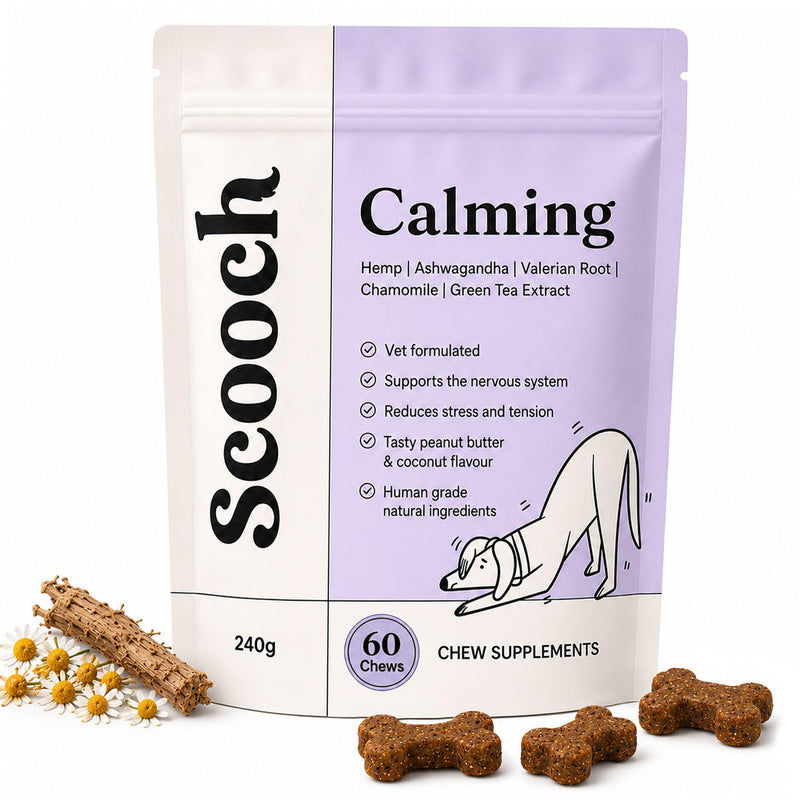 Scooch Calming Dog Treats – The Calming Chew Fussy Dogs Actually Eat | Helps Support Calm for Fireworks, Travel & Time Alone | with Ashwagandha, Valerian, Hemp & Chamomile | 60 Chews