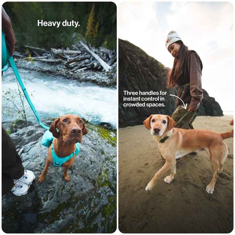 Säker Kelp™ Waterproof Dog Leash – Heavy Duty, Odor-Proof, Adjustable 4–6 ft Long Dog Leash with Twist-Lock Carabiner, 3 Traffic Handles, Hands-Free Option, Aluminum Hardware Trail Green