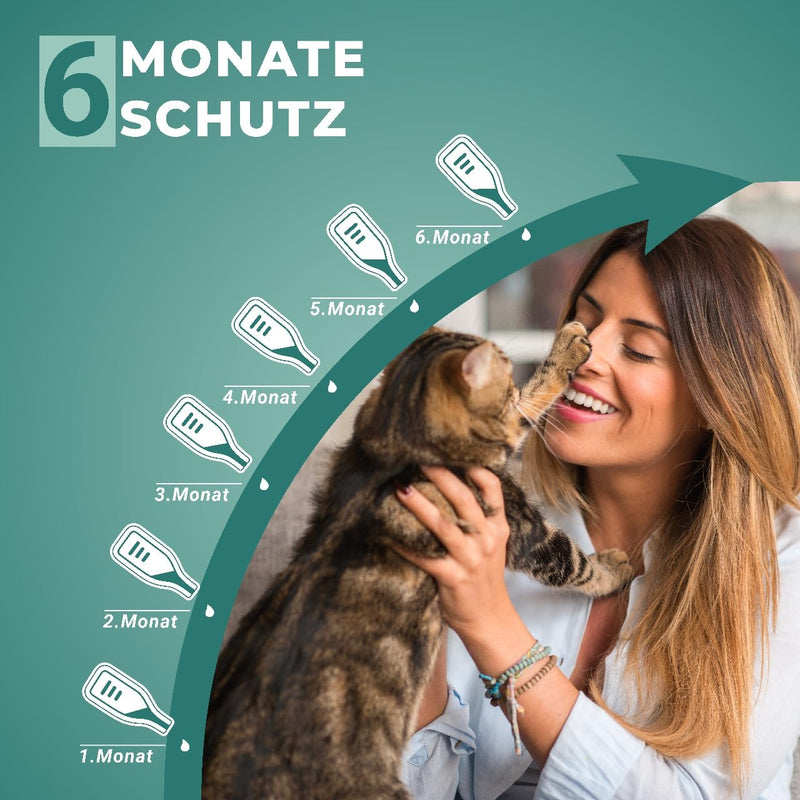 Animal Vita® Spot On tick protection for cats [6 months of reliable tick protection] Tick repellent for cats - tick protection for cats - Spot On for cats - BeesActive Australia