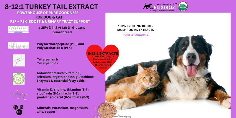 Turkey Tail Mushroom Extract for Dogs & Cats – 25%+ Beta Glucans – Concentrated Fruiting Body Extract (8:1–12:1) – Immune & Gut Support – No Fillers – 250 Servings
