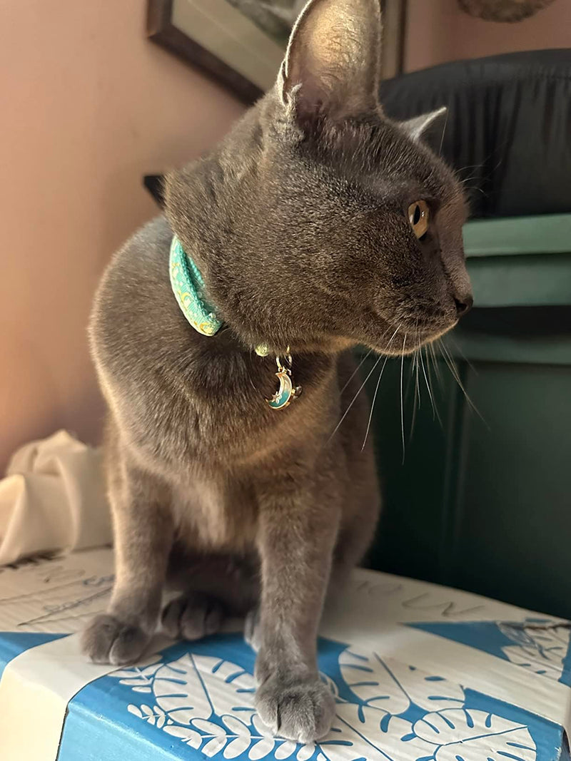 2 Pack Breakaway Cat Collar with Bells,Adjustable Moon and Star Kitten Safety Collars for Boys & Girls,Purple+Teal 7-11'' Teal+Purple - BeesActive Australia
