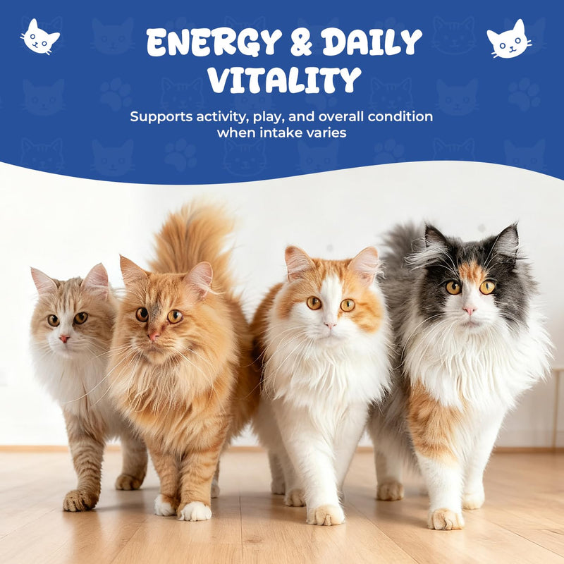 Appetite Stimulant Drops for Cats – Vitamin B12 Liquid with Methylcobalamin, Supports Appetite, Energy & Metabolism, Helps Picky or Low-Energy Cats Eat & Thrive, 2 fl oz