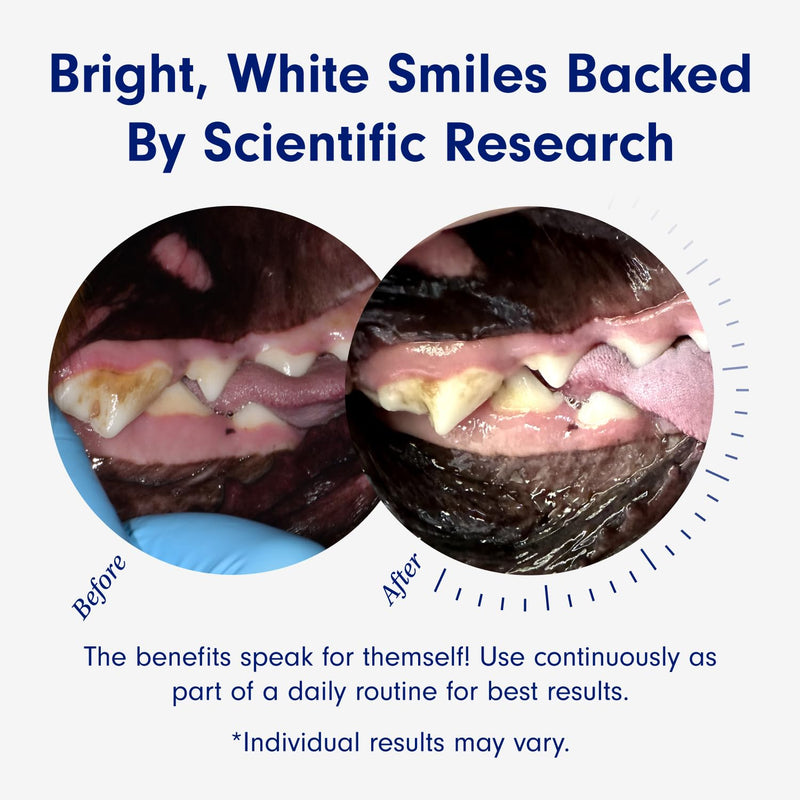 PetLab Co. ProBright® Dental Powder - Dog Breath Freshener - Teeth Cleaning Made Easy – Targets Tartar & Bad Breath - Formulated for Medium Dogs
