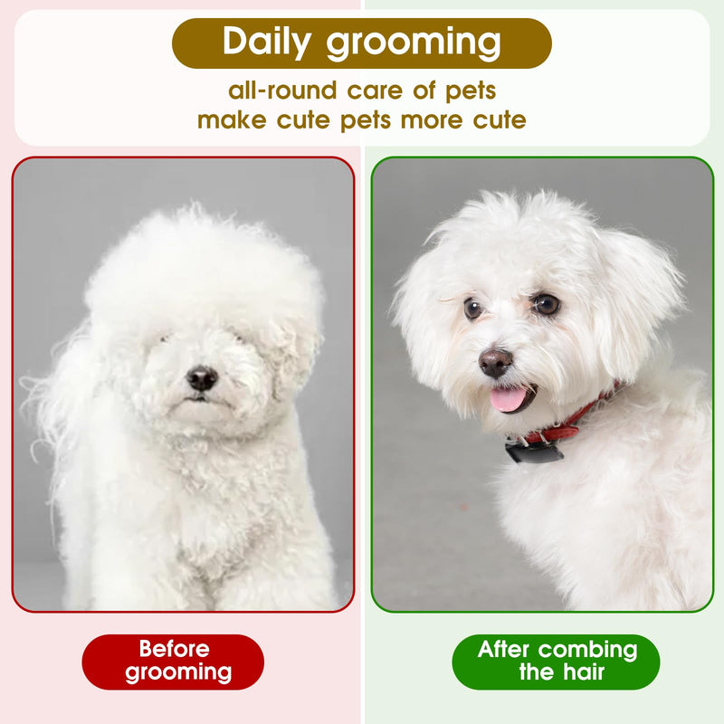 4pcs White Tick Comb for Dogs,Dog Flea Comb Cat Flea Comb Flea Comb for Kittens,Fine Tooth Tear Stain Remover,Large and Small Grooming Comb for Pets, Fine Tooth Tear Stain Remover - BeesActive Australia