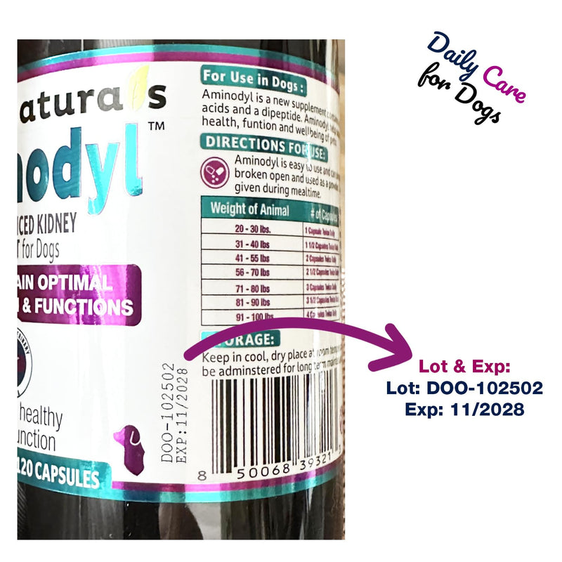 Aminodyl™ Kidney Support Supplement 1100mg for Dogs - Supports Natural Kidney Function with Amino Vastly Promotes Health, Wellbeing & Vitality of Kidneys 120 Sprinkle Capsules. Made in U.S.A Dogs >20lbs (120 Caps) 1100mg
