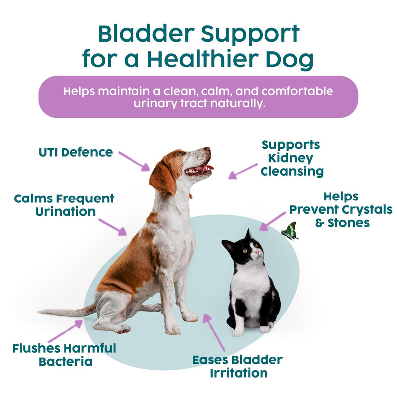 Urinary Tract Infection Treatment for Dogs & Cats - Dog UTI Treatment at Home for Kidney and Bladder Support, Herbal Supplement Drops for Prevention of Incontinence & Bladder Stones | 50ml