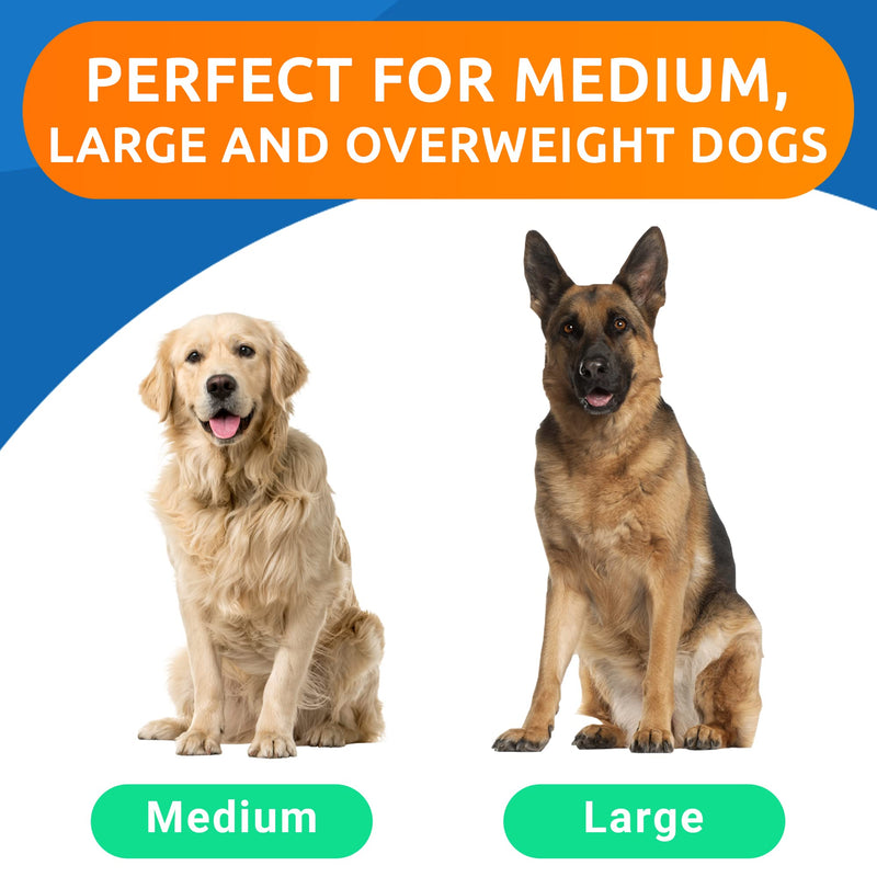 Glucosamine Chondroitin Dog Hip & Joint Supplement - Joint Pain Relief - Hip & Joint Chews for Dogs - Joint Support Large Breed - Senior Doggie Vitamin Pills Joint Health - (360 Treats - BBQ Chicken) 360Ct