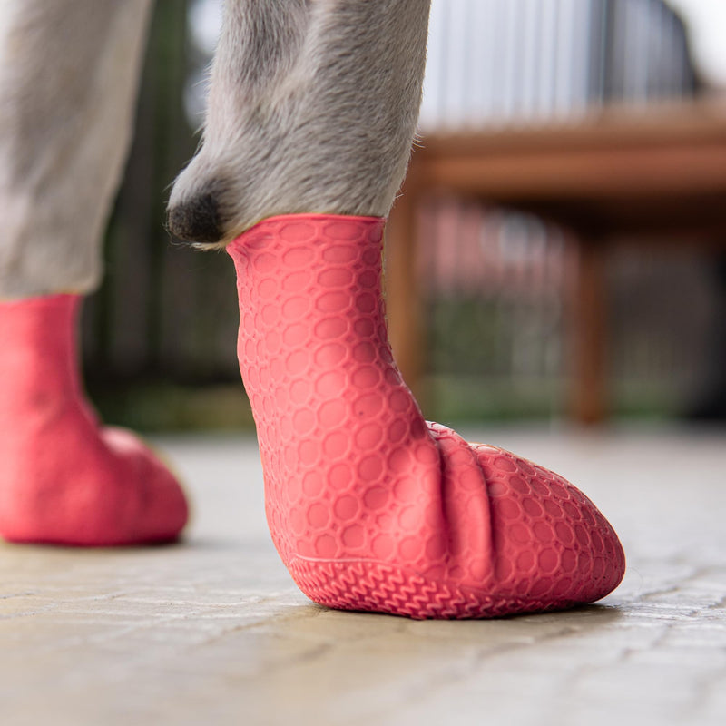 Soft Dog Paw Protectors | Skin-Like Silicone Dog Shoes | Small Medium Large Size Dogs | High-Grip Dog Booties Dog Socks for Snow Hot Pavement | Prevent Licking Protect Floors (Rose, Large) Salmon Rose Large, for paw width: 2.5" – 3" (6.2cm – 7.6cm) - BeesActive Australia