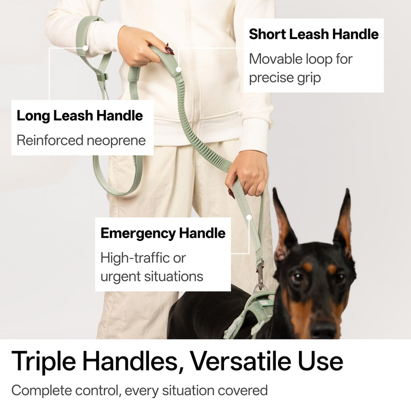 Hands Free Dog Leash Adjustable Versatile Crossbody Waist Dog Leash Reflective Comfortable Padded Handles Shock Absorbing Walking Lead for Small Medium Large Dogs (Super Reflect-Black, S) Super Reflect-Black