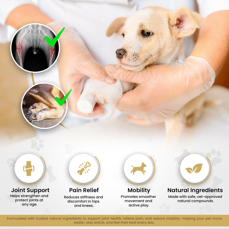 HIP and Joint Chews – Dog Joint Supplement with Glucosamine, Chondroitin & MSM – Supports Cartilage, Hip & Joint Health – Soft Chews for Senior & Adult Dogs – 120 Chews, Natural Beef Flavor