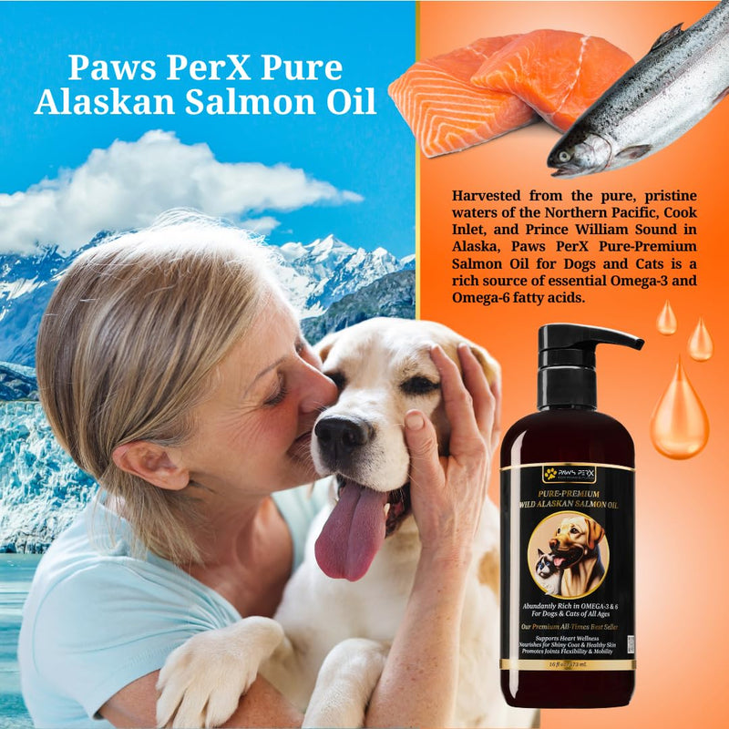 Human Grade, Naturally Caught, Pure-Premium Wild Alaskan Salmon Oil for Dogs & Cats; Rich in Omega-3 EPA and DHA Fatty Acids; (One, 16 fl oz Bottle) - BeesActive Australia