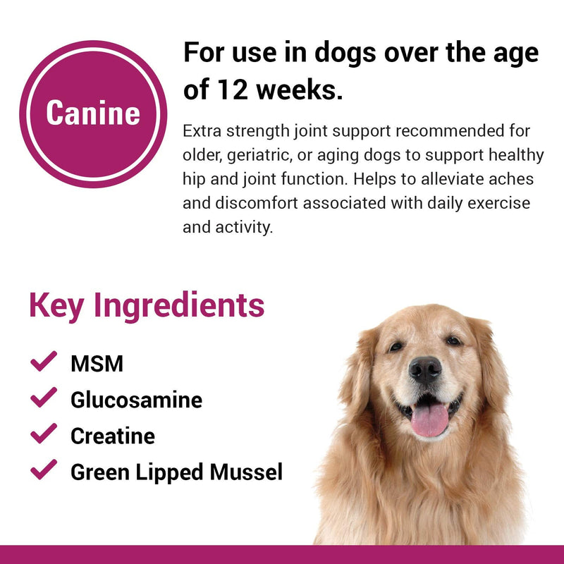 Vet Classics Re-Flex Ultra Extra-Strength Joint Support Dog Supplement – Includes MSM, Creatine, Glucosamine, Green Lipped Mussel – Supports Healthy Dog Joints – Chewable Tablets 120 Ct. - BeesActive Australia