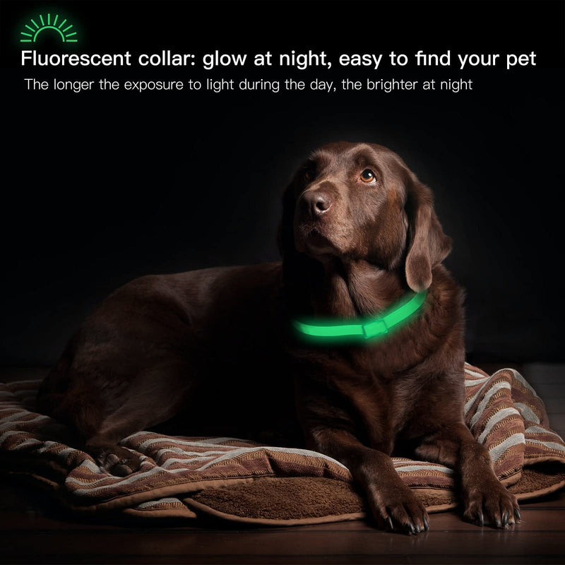 DEWEL Luminous Tick Collar for Dogs, Tick Collar Luminous Collar Dog Adjustable Flea and Tick Prevention Collars Waterproof Fluorescent Flea Collar Against Pests, 63.5cm XL - BeesActive Australia