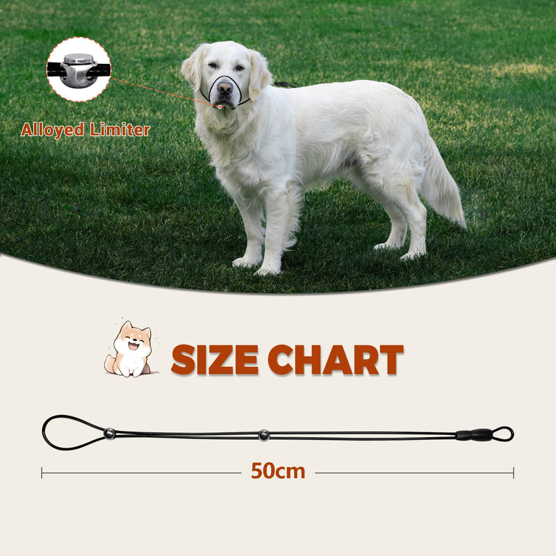 LOS ANDES Dog Head Collar to Stop Pulling on The Lead, Headcollar for Dogs, Professional Training Aid for Medium Dogs, Adjustable and Easily Control (Suit for Dog Neck+Mouth Under 30inch) Silver - BeesActive Australia