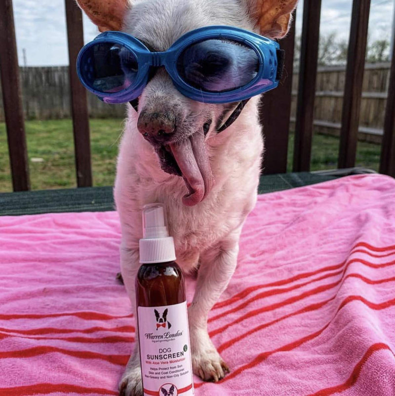 Warren London Dog Sunscreen Spray Protection with Aloe Vera I Dog Skin Soother I Puppy Sunblock I Made in USA- 4oz Two Pack 4oz Bottle (Two Pack) - PawsPlanet Australia