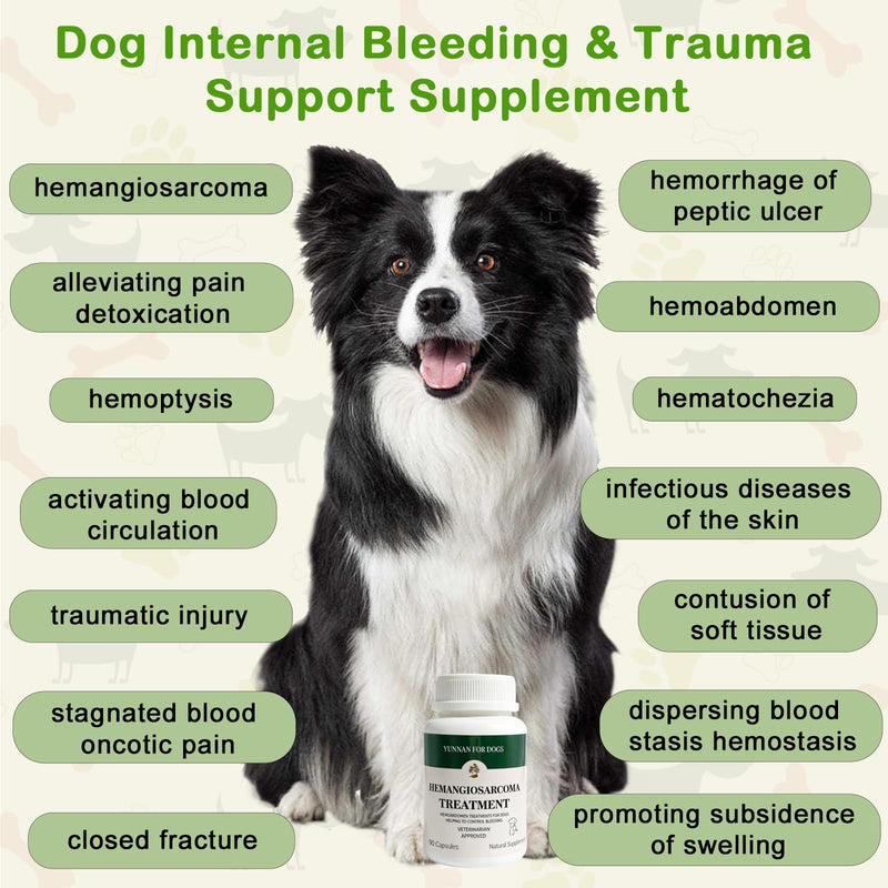 Yunnan Sanqi Capsules for Dogs, Herbal Quick Stop Bleeding, Blood Support for Hemangiosarcoma, Hemoabdomen, Cancer Bleeding, Pericardial Effusion, Ulcer-Related Bleeding, Bloody Stools - 90 Capsules
