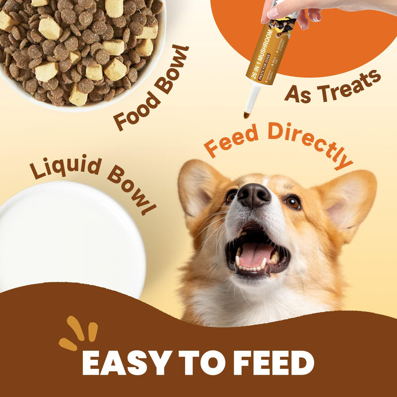 Dog Mushroom Drops & Dog Mushroom Paste - Lumps and Bumps Treatment - Digestive, Cellular, Immune Health Support