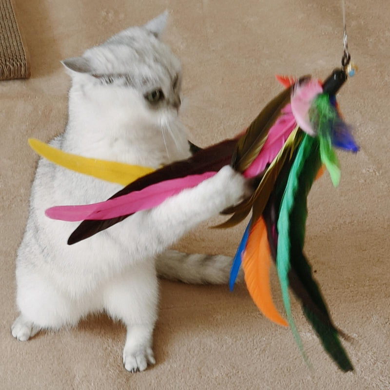 Cat Toy 2PCS Ultra-Long Cat Teaser(50"+38")+9PCS Da Bird Feather Refills,Cat Fishing Pole Toy,Interactive Cat Toys -Retractable Cat Wand Toy and Feather Toys Refills for Indoor Cats 11 PCS Retractable Wand Toy - BeesActive Australia