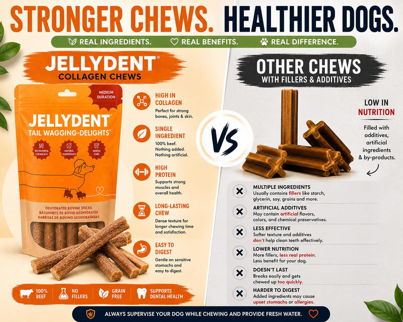 Jellydent Dog Dental Chews – Single Ingredient Beef Skin Chews for Plaque & Tartar Control – High Protein Natural Treats for Adult Dogs (10 Count, 5.15 oz)