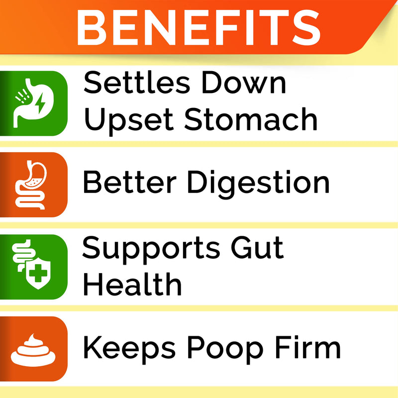 STRELLALAB Pumpkin for Dogs - Fiber Powder Supplement - Stool Consistency and Softener - Digestion Support - Made in USA - 6.9 oz - Pumpkin Spice - BeesActive Australia