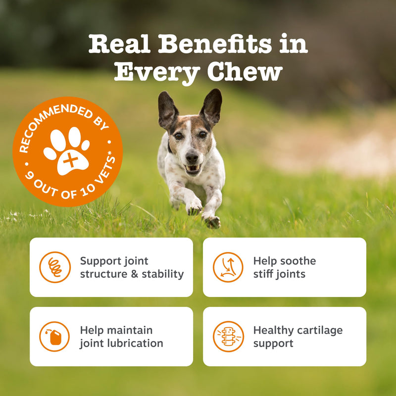 Zesty Paws Hip & Joint Chews for Dogs | Supports Joint Flexibility, Mobility, Healthy Cartilage & Helps Soothe Stiff Joints | With Glucosamine, Chondroitin, Green-Lipped Mussel | Daily Use | 90 Chews Adult